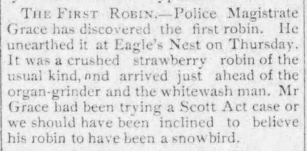 The First Robin